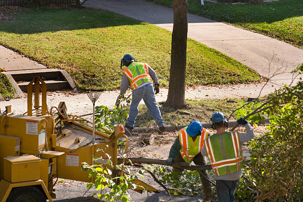 Lawn Watering Services in Hoquiam, WA